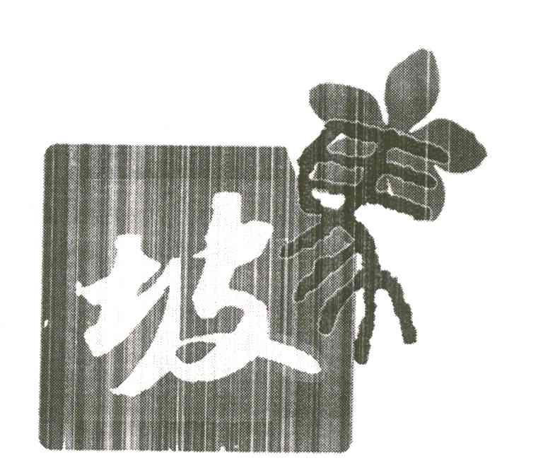 坡;马