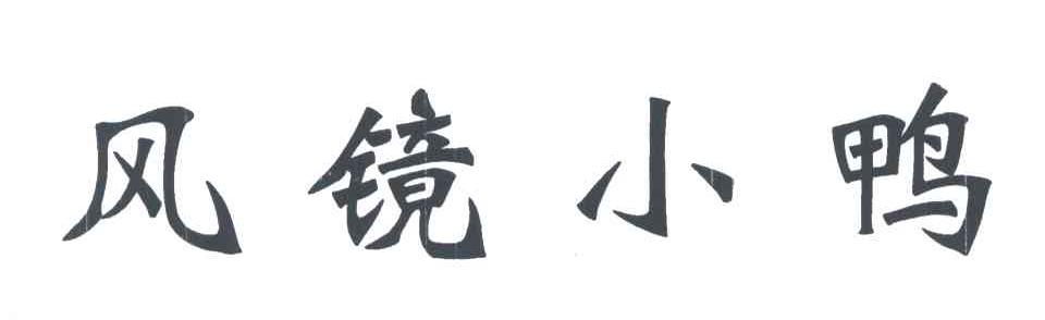 风镜小鸭