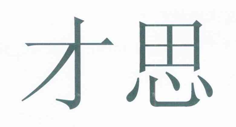 才思