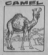 CAMEL