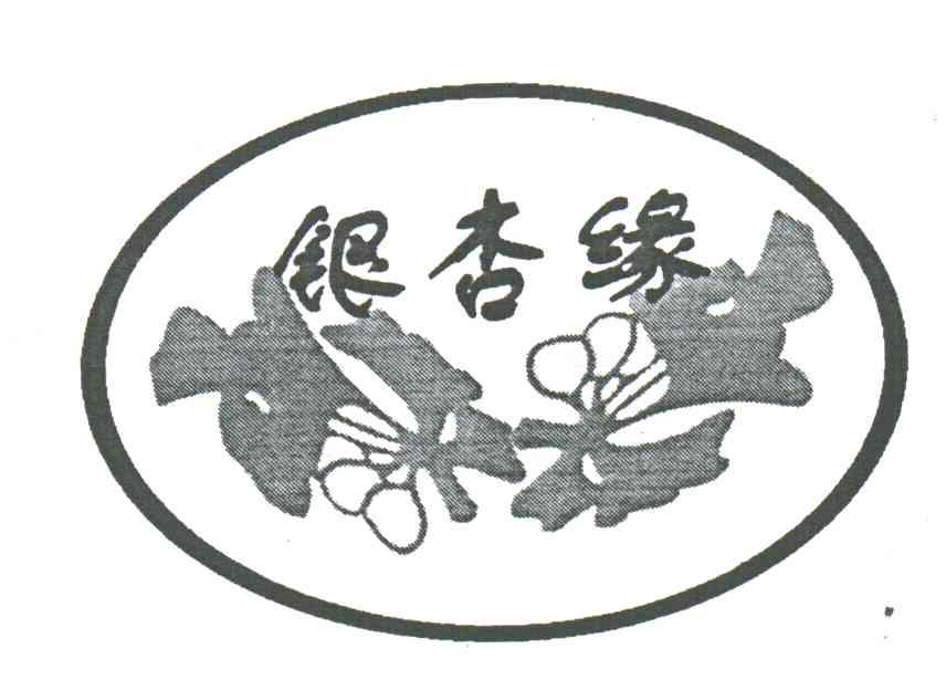 银杏缘