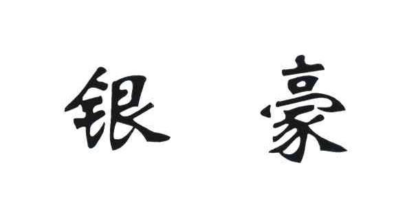 银豪