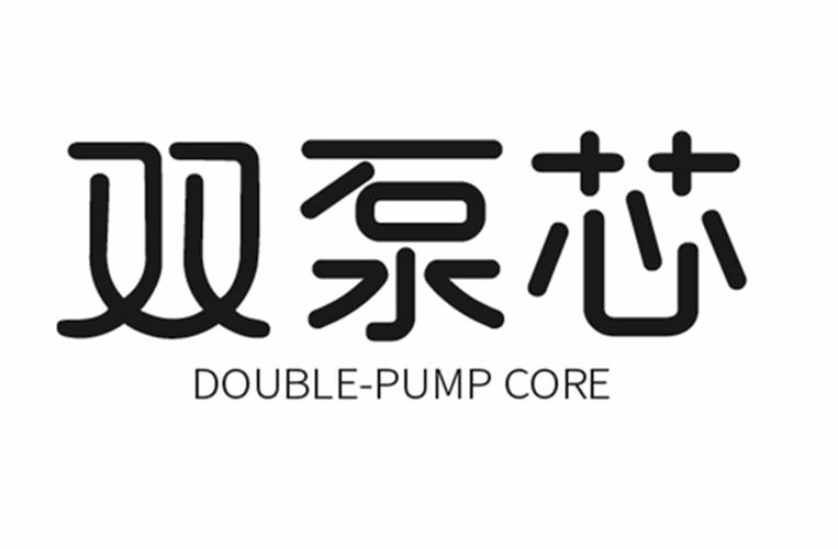 双泵芯 DOUBLE-PUMP CORE