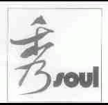 秀;SOUL