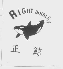 正鲸   RIGHT WHALE
