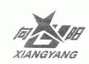 向阳
