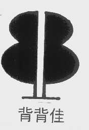 背背佳