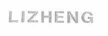LIZHENG