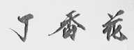 丁香花