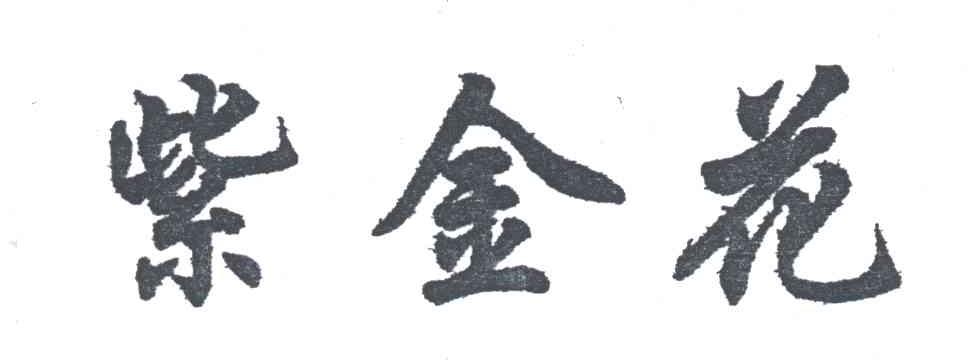 紫金花