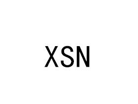 XSN