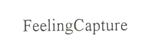 FEELING CAPURE