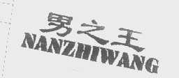 男之王