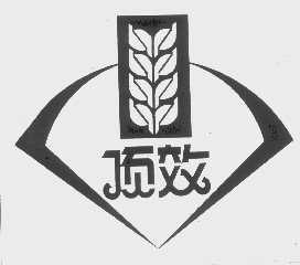 顶效