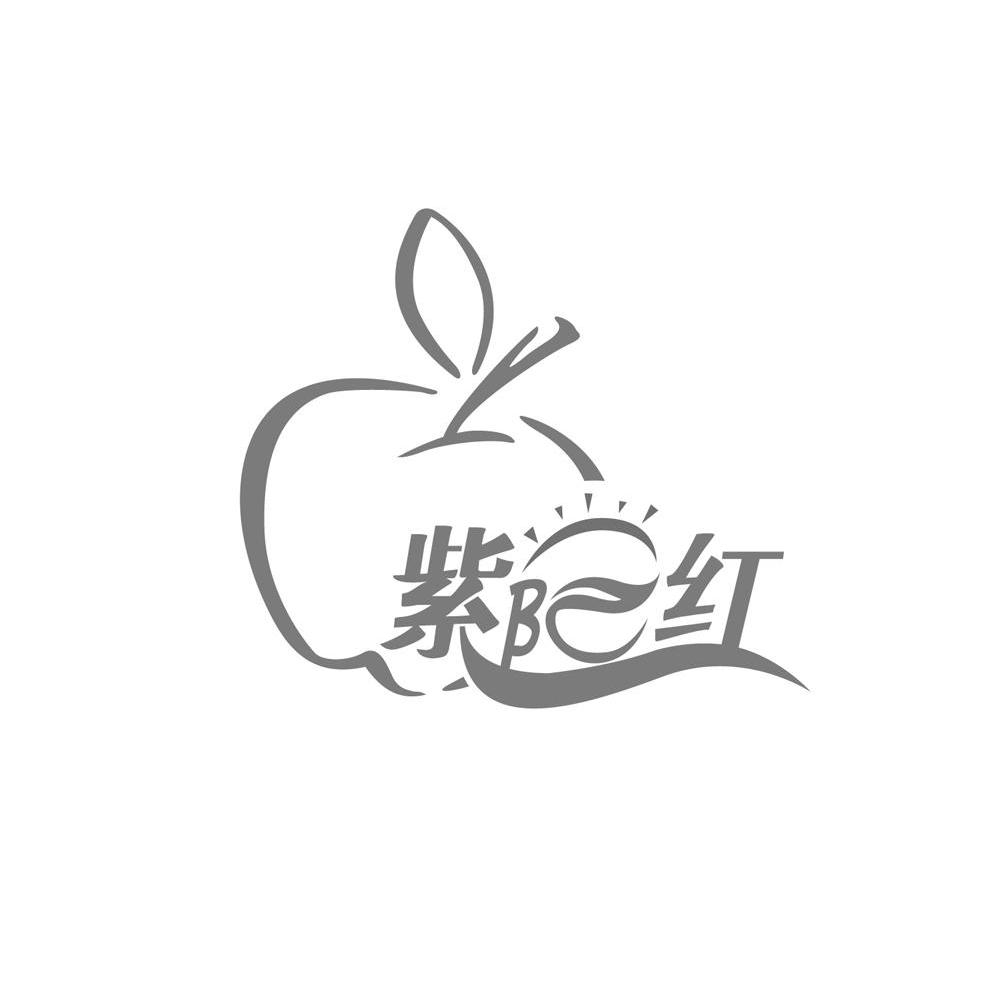 紫阳红