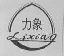 力象