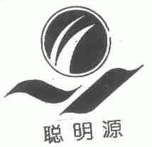 聪明源