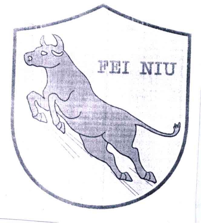 FEI NIU