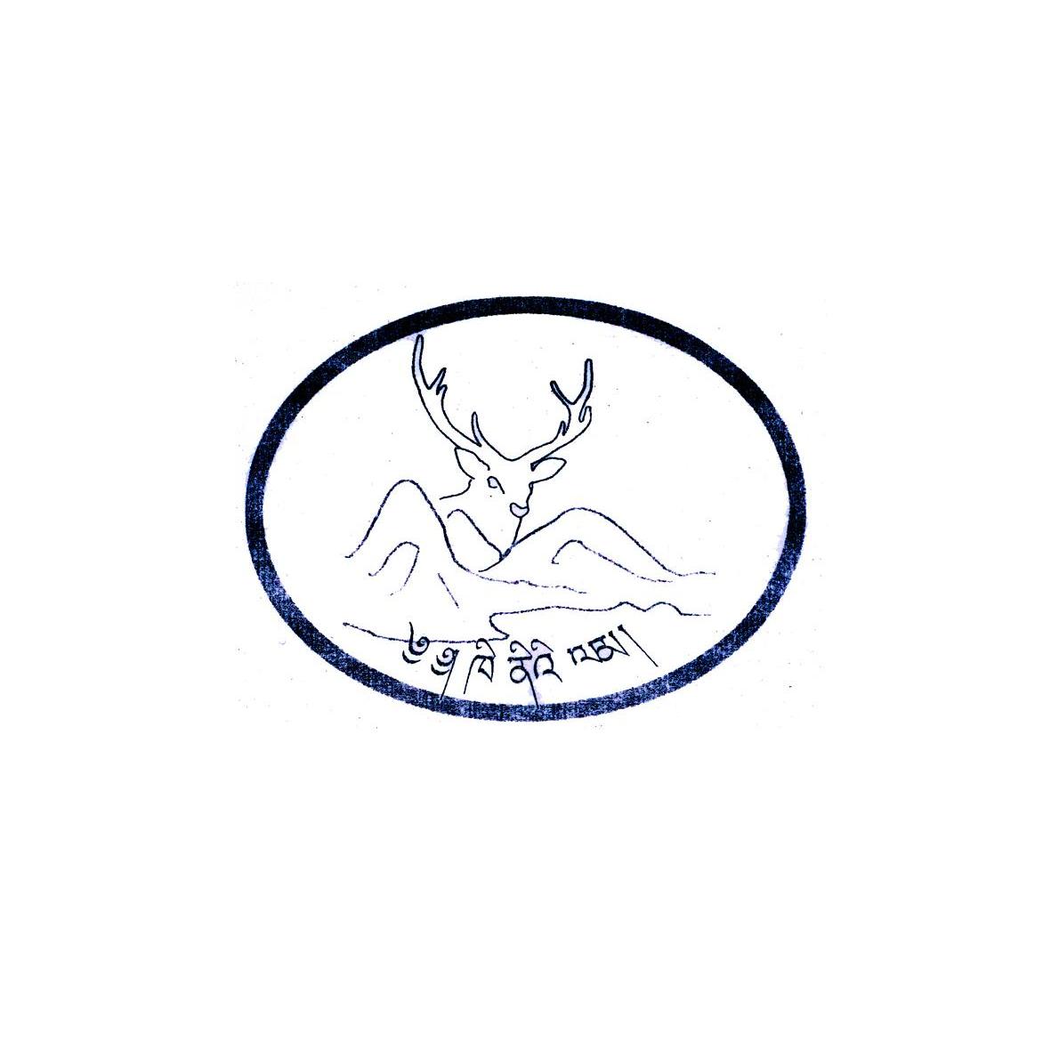 图形