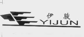 伊骏