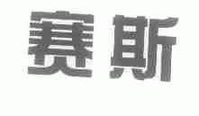 赛斯