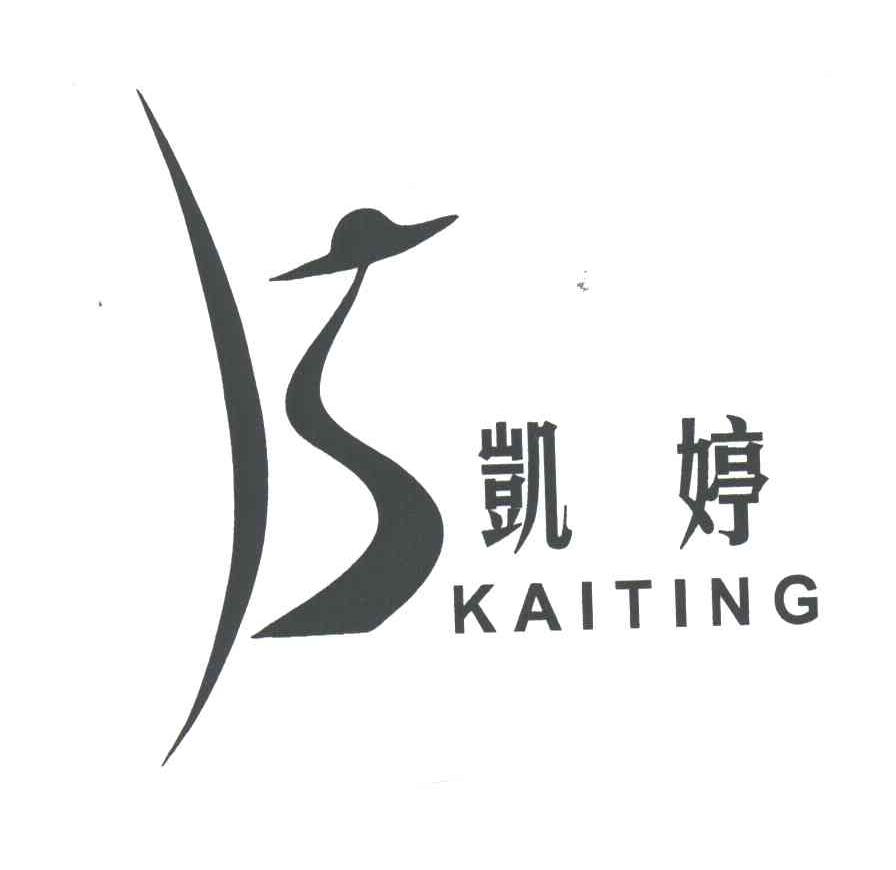 凯婷及图形