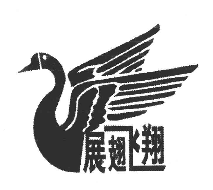 展翅飞翔