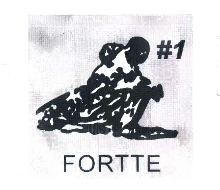 FORTTE #1