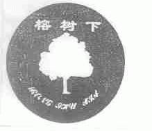 榕树下