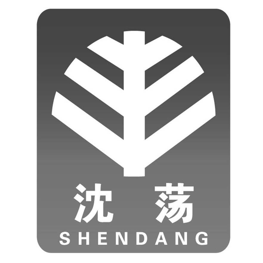 沈荡