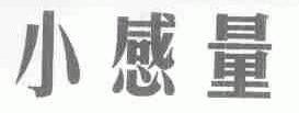 小感量