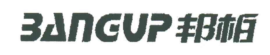 邦柏;BANGVP