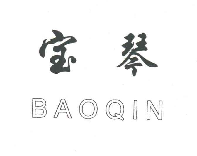 宝琴