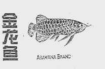金龙鱼  ARAWANA