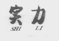 实力