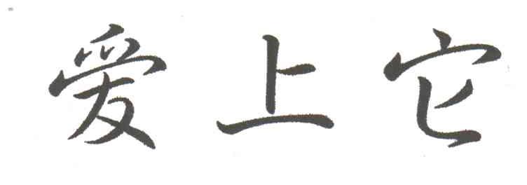 爱上它