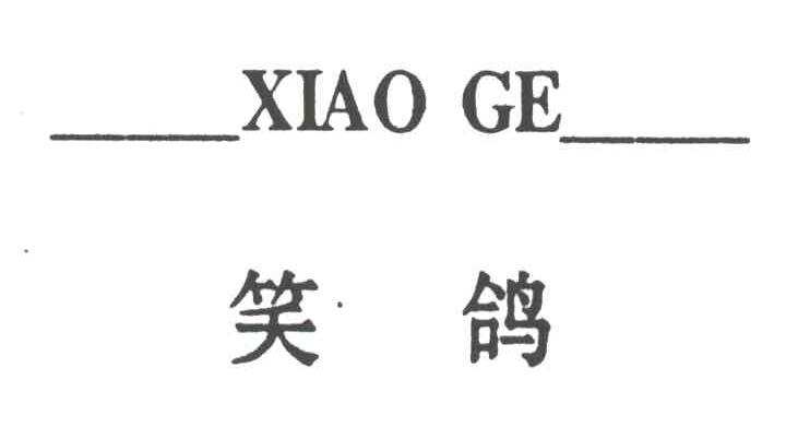 笑鸽XIAOGE
