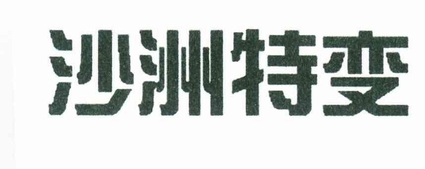 沙洲特变