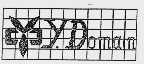 Y.DOMAIN