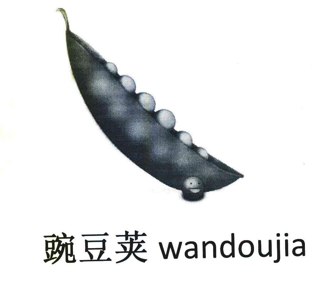 豌豆荚