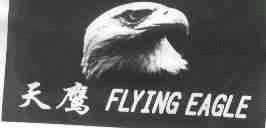 天鹰;FLYING EAGLE