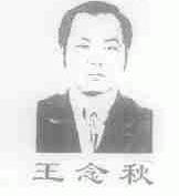 王念秋