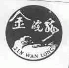 金皖龙