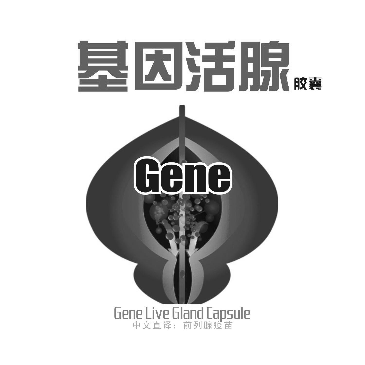 基因活腺胶囊 GENE GENE LIVE GLAND CAPSULE
