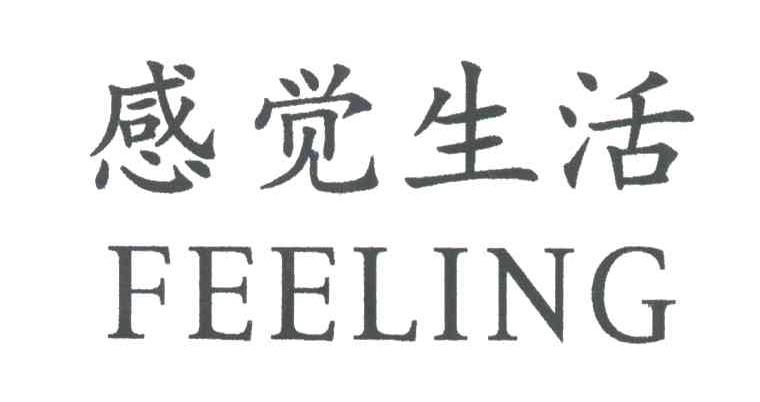 感觉生活;FEELING