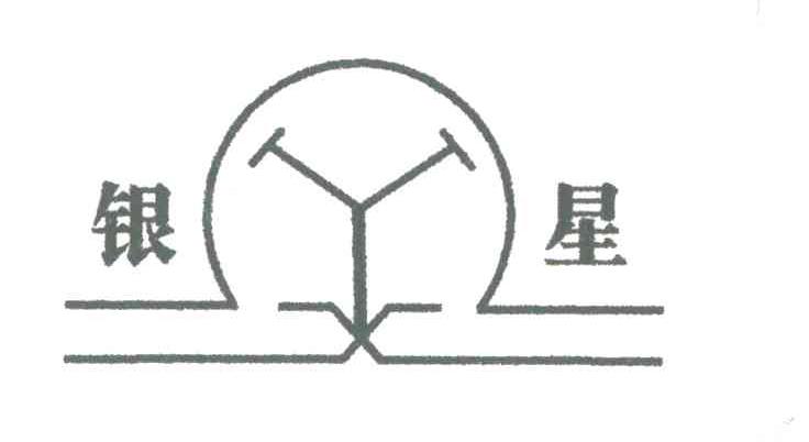 银星