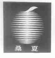 桑夏