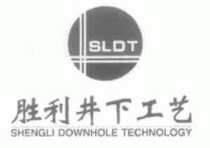 SLDT;胜利