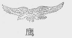 鹰