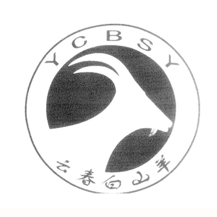 云春白山羊 YCBSY